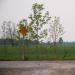 Le bout du chemin