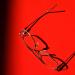 Rouge et verres